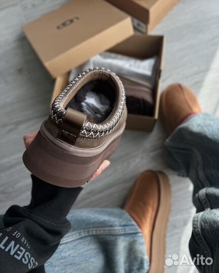 Ugg Tazz Chocolate