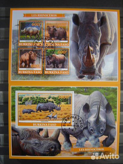 Фауна Африки