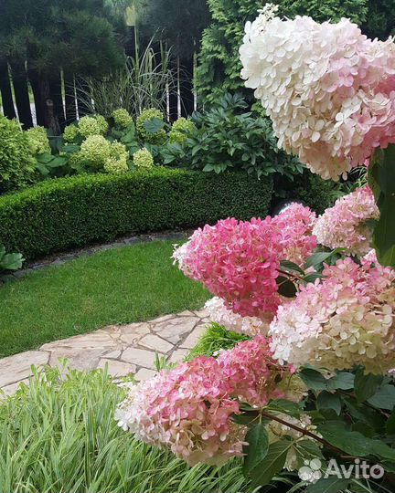 Ландшафтный дизайн