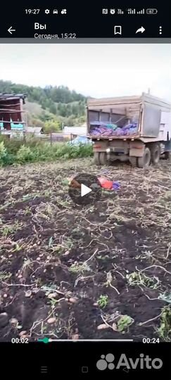 Продам картофель деревенский. Домашний