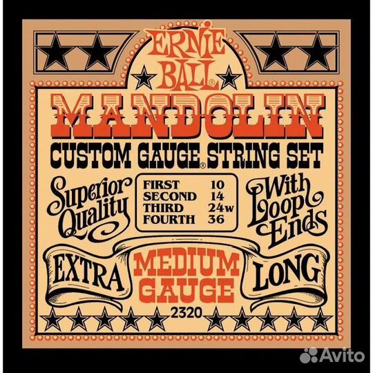 Ernie Ball 2320 Stainless Steel Medium 10-30