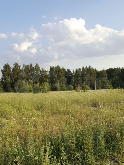 Участок 5 сот. (ИЖС)