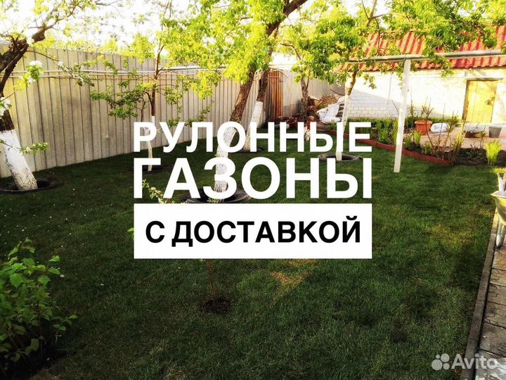 Рулонный газон