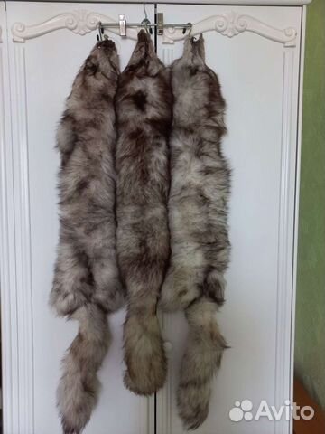 Шкура песца