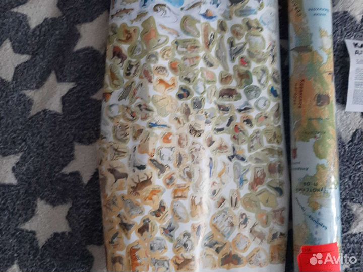 Настенная карта России