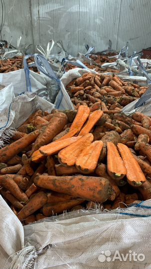 Свекла,Морковь,Лук,Картофель 2 сорт