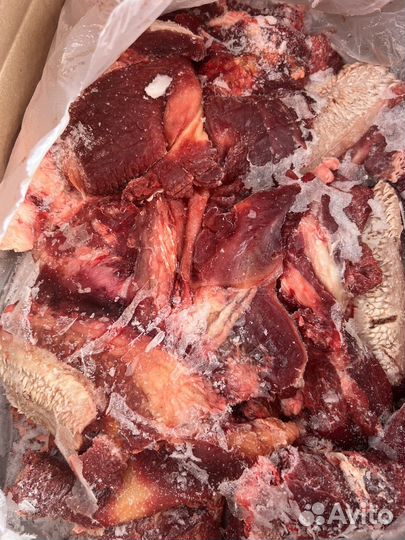 Мясо говядина для собак