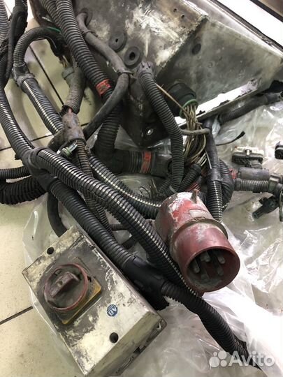 Бокс карриер vector вектор