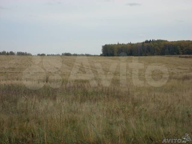 Участок 6,5 га (СНТ, ДНП)