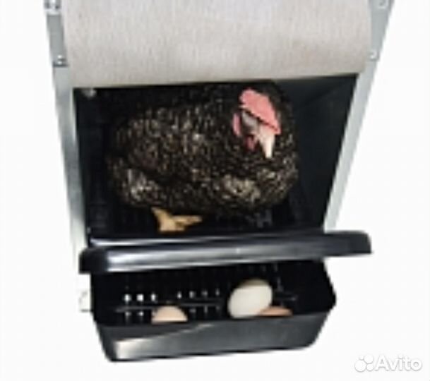 Гнезда для кур компакт с яйцесборником