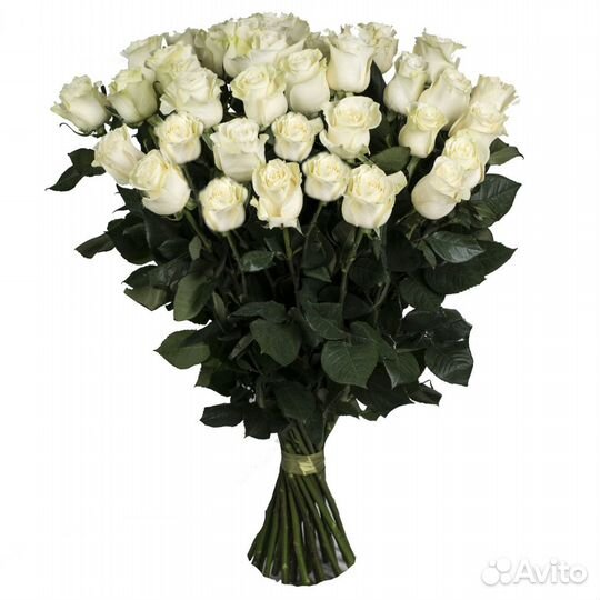 Розы 100см