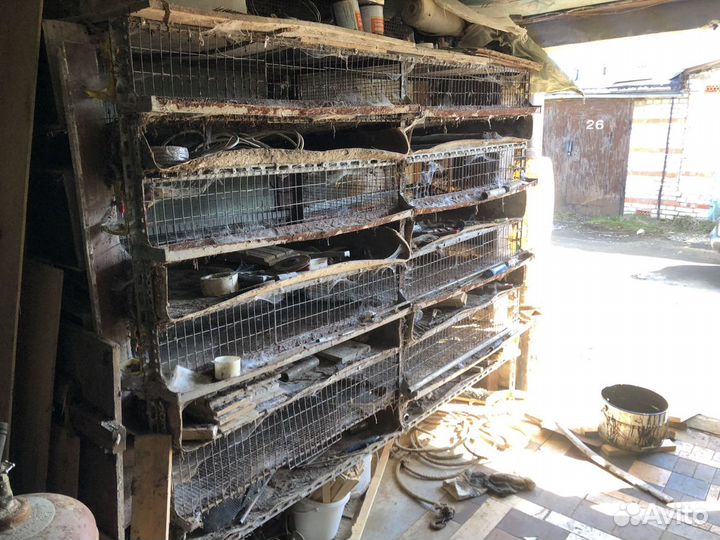 Клетка для содержания перепелов