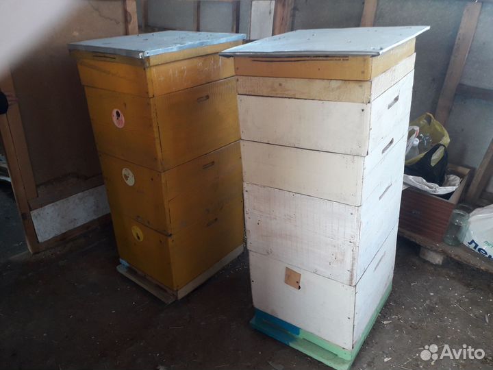 Улей для пчел бу