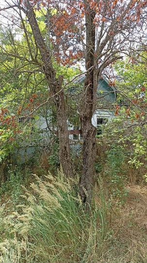 Участок 9,5 сот. (ИЖС)