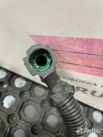7420856335 Проводка системы AdBlue Renault Premium