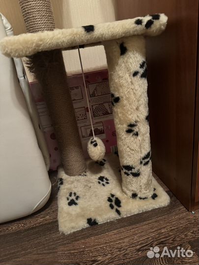 Когтеточка