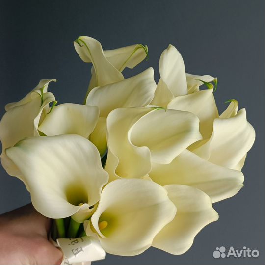 Цветы Каллы Букеты с доставкой