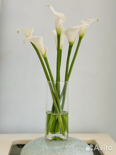 Цветы каллы ручной работы из холодного фарфора