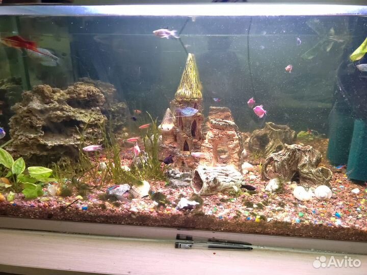 Аквариум