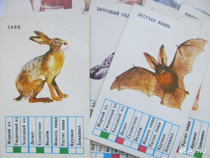 Развивающие карточки