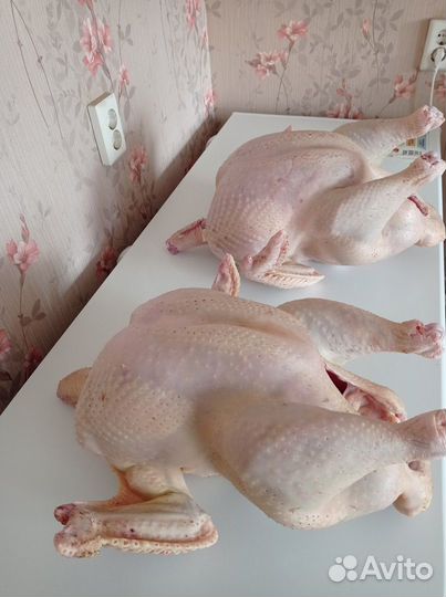 Домашнее мясо индейки и кур