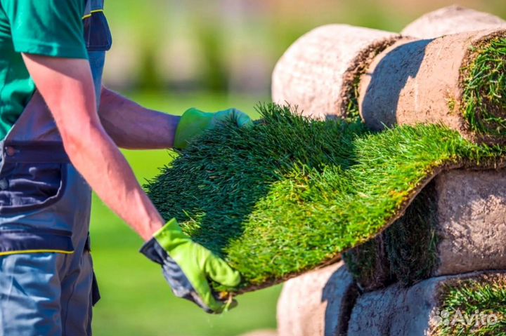 Газон от производителя