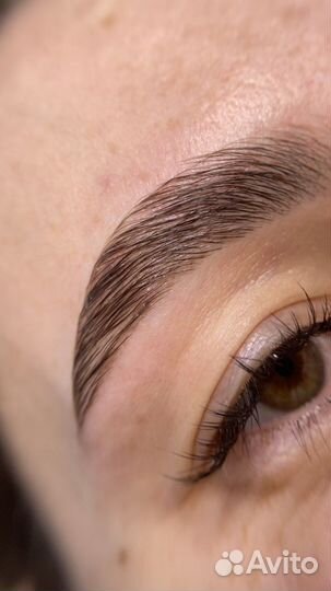 Брови Москва