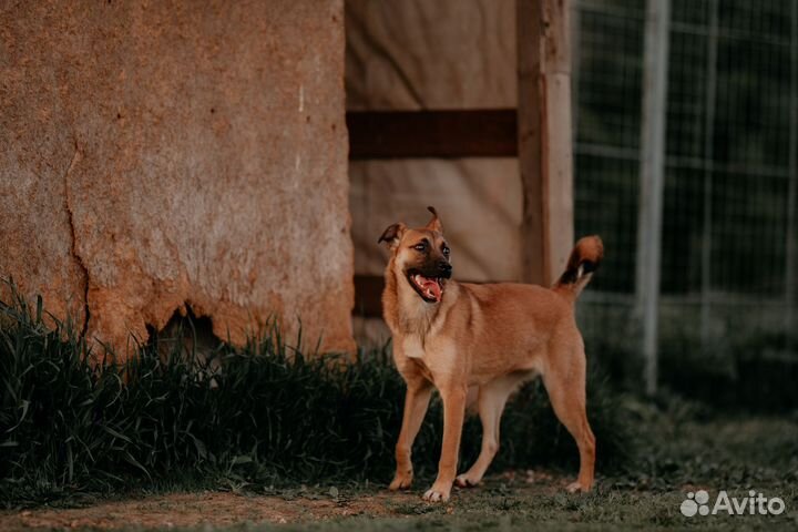 Зажигалочка Джуди