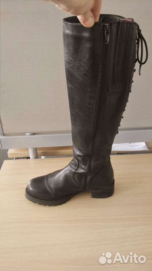 Новые демисезонные женские сапоги
