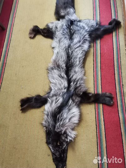 Шкура чернобурка цельная