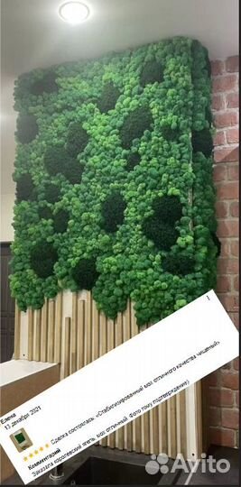 Стабилизированный мох ягель, интерьер декор