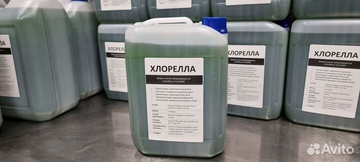 Хлорелла для очистки водоемов