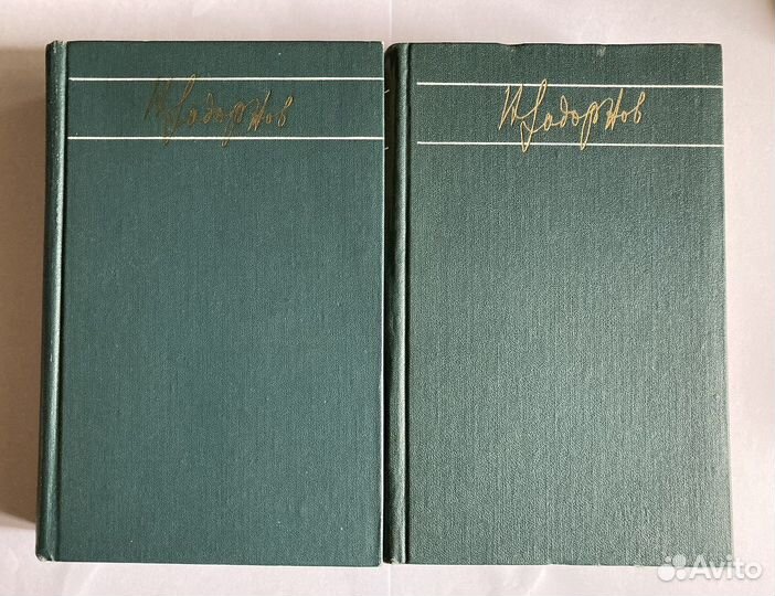 Николай Задорнов