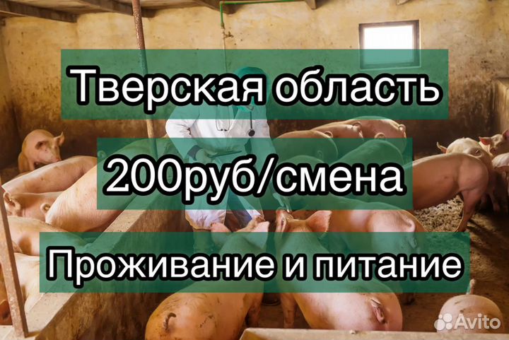 Разнорабочий. Вахта с проживанием. Тверская обл