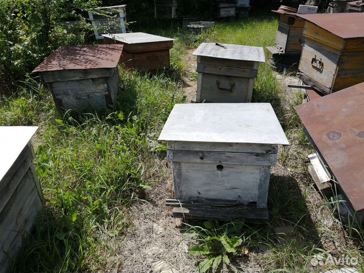 Улей лежак(12,24 рамки)