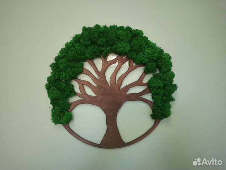 Пано дерево жизни