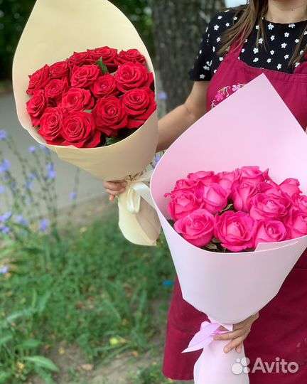 Розы Софи Лорен с упаковкой доставка