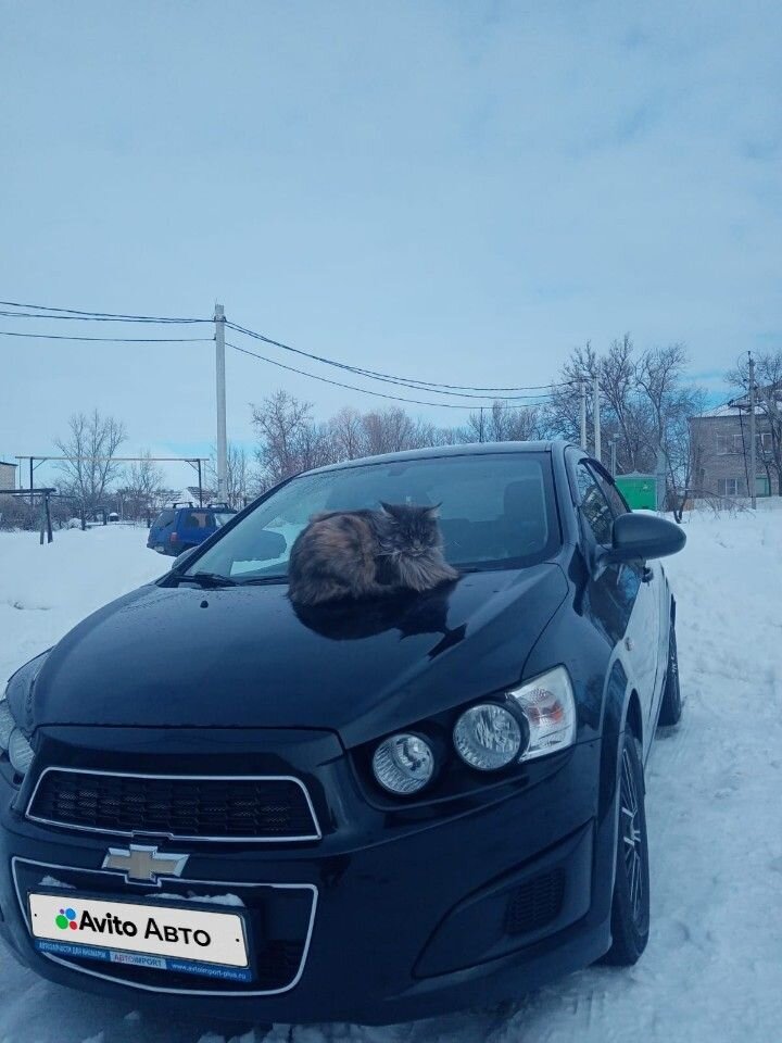 Chevrolet Aveo: фото владельца