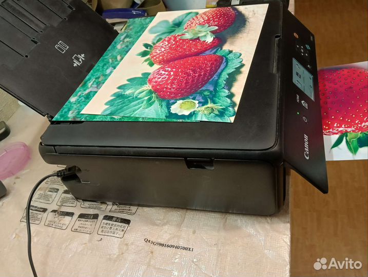 Принтер мфу TS5040