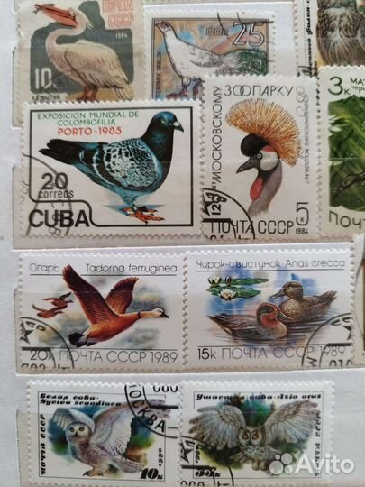 Альбом с марками СССР и др стран