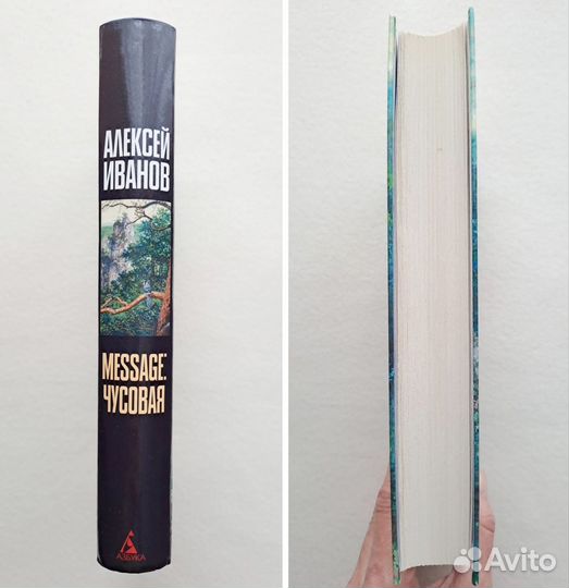 Алексей Иванов 