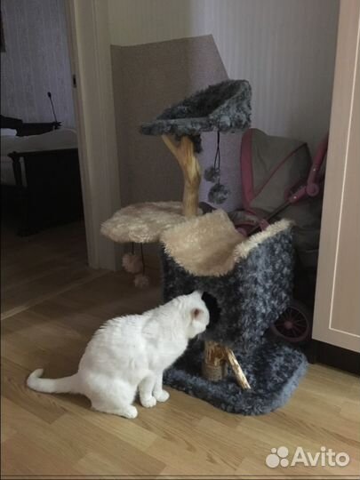 Домик лежанка для кошки