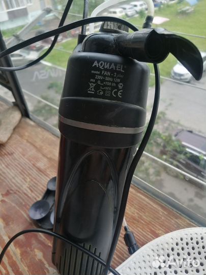 Домашние животные