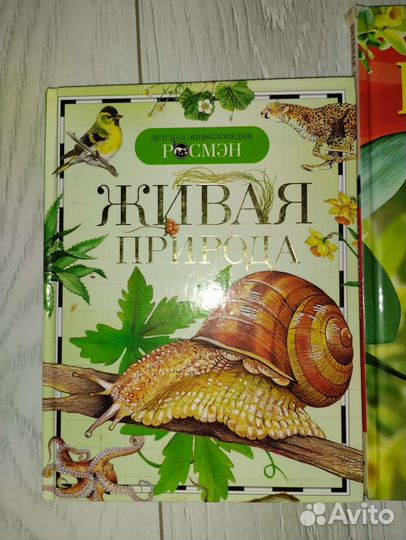 Детская энциклопедия