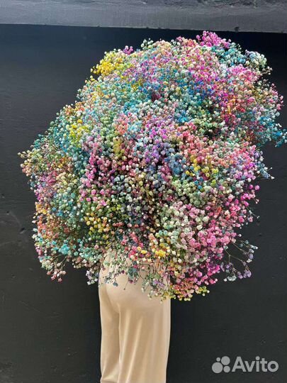 Гипсофила радужная опт