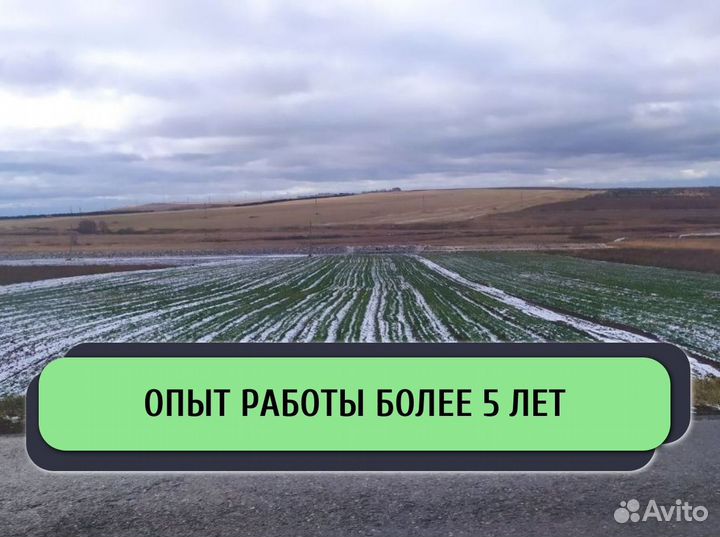 Привлекаем инвестиции в действующий бизнес