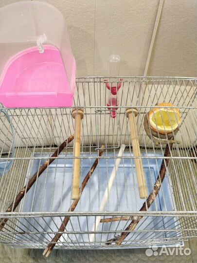 Клетка для попугая