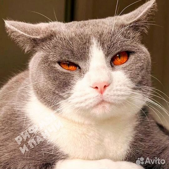 Глушитель хендай Портер 2