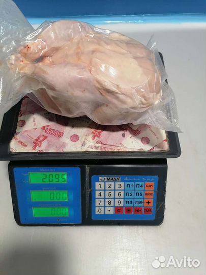 Мясо домашнего цыпленка бройлера
