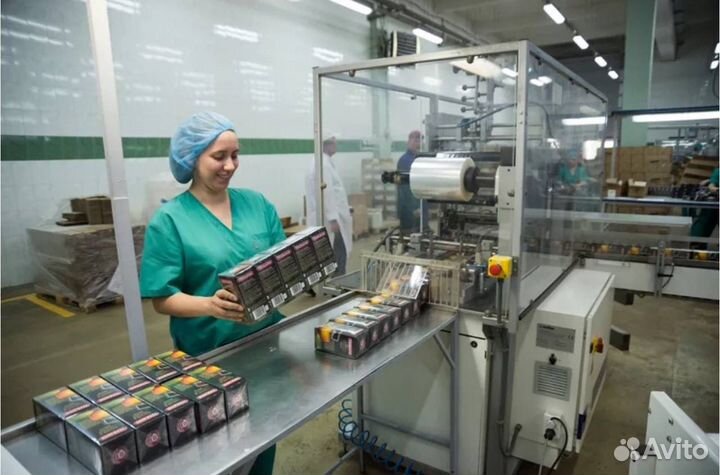 Вахта в Москве- Наладчик линии на производство чая